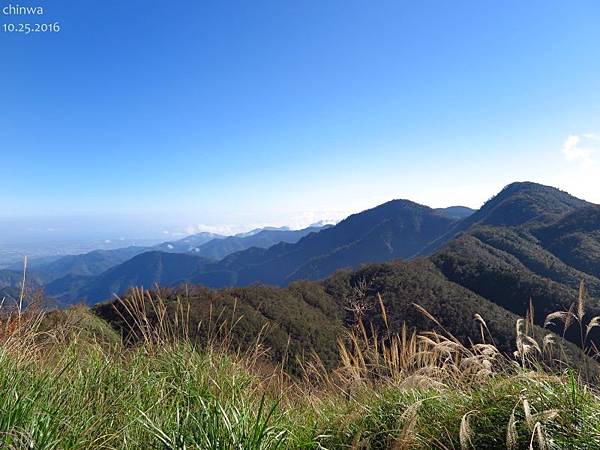 台灣山毛櫸國家步道