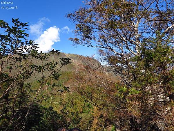 台灣山毛櫸國家步道