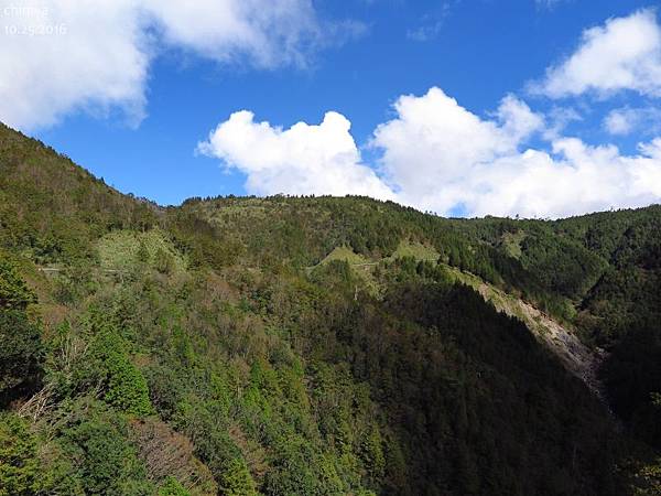 翠峰景觀道路