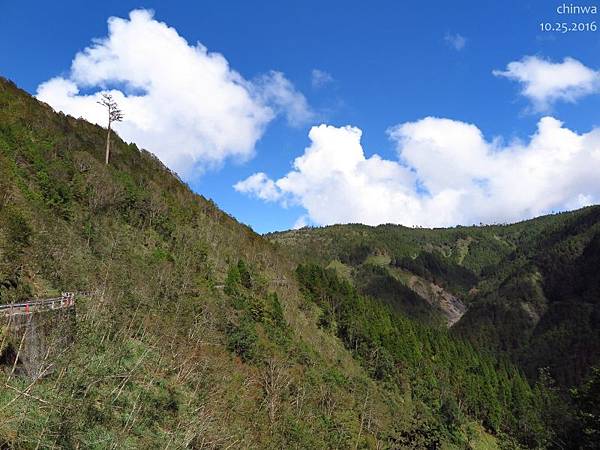 翠峰景觀道路