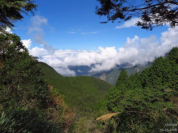 翠峰景觀道路