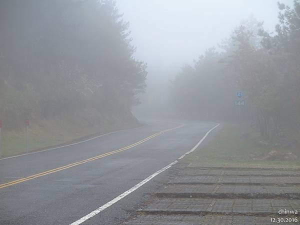 新中橫.東埔山登山口