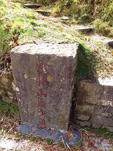 塔塔加鞍部.鹿林山區步道口 塔塔加鞍部.鹿林山區步道口