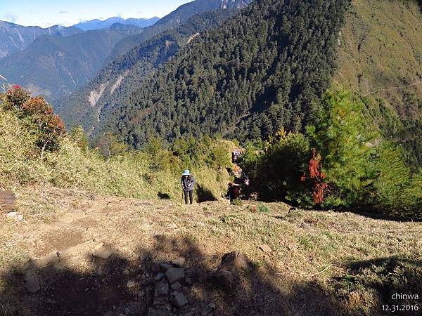 鹿林山區步道.麟趾山