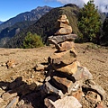 鹿林山區步道.麟趾山