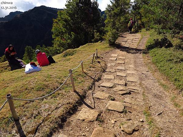 鹿林山區步道.麟趾山