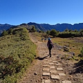 鹿林山區步道.麟趾山