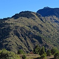 鹿林山區步道.麟趾山