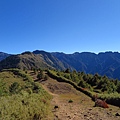 鹿林山區步道.麟趾山