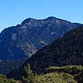 鹿林山區步道.麟趾山