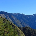 鹿林山區步道.鹿林山