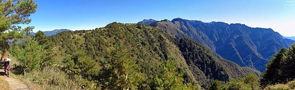 鹿林山區步道.鹿林山