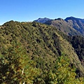 鹿林山區步道.鹿林山