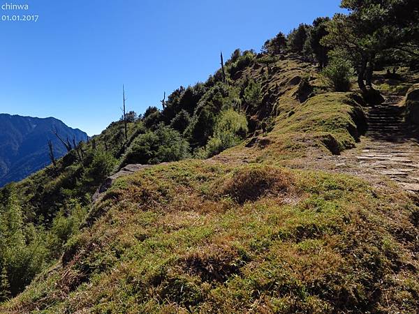 鹿林山區步道.鹿林山