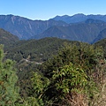 鹿林山區步道.鹿林前山