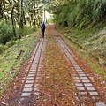 玉山林道