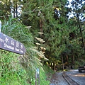 阿里山.水山線步道