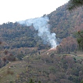 東埔.沙里仙溫泉渡假村