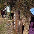 新中橫.東埔山登山口