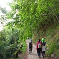 桃山瀑布步道