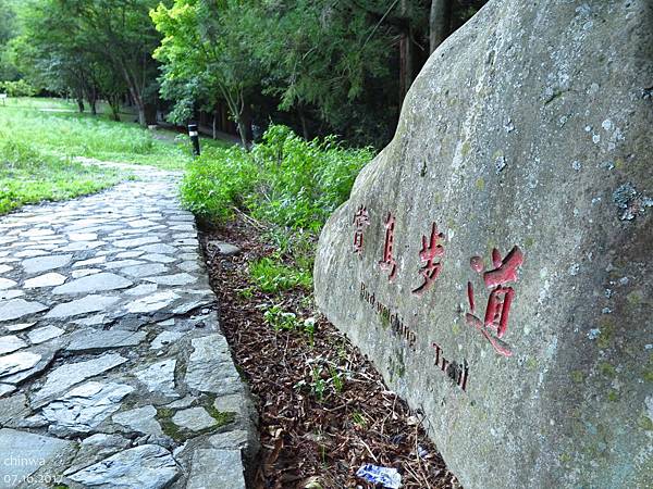 武陵農場.賞鳥步道