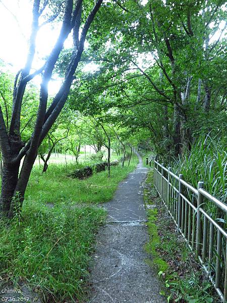 武陵農場.賞鳥步道