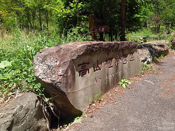 武陵農場.高山植物園