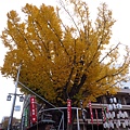 福岡.櫛田神社