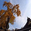 福岡.櫛田神社