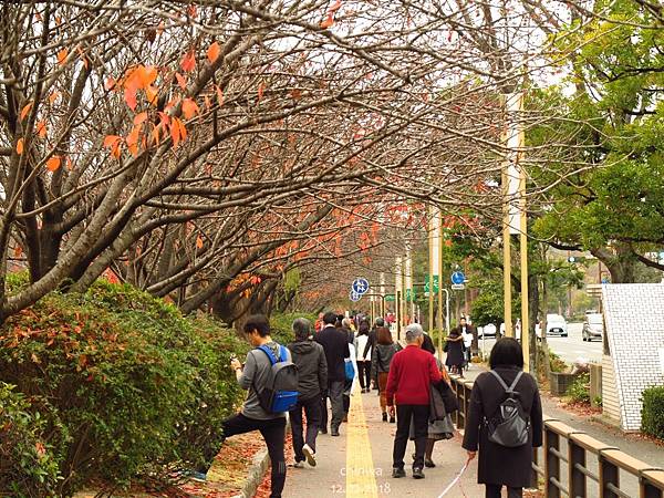 福岡.舞鶴公園