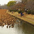 福岡.舞鶴公園