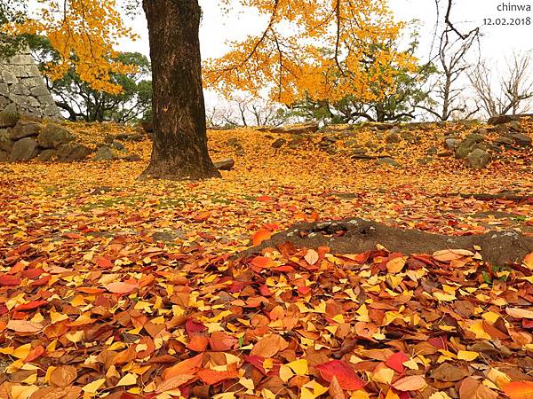 福岡.舞鶴公園