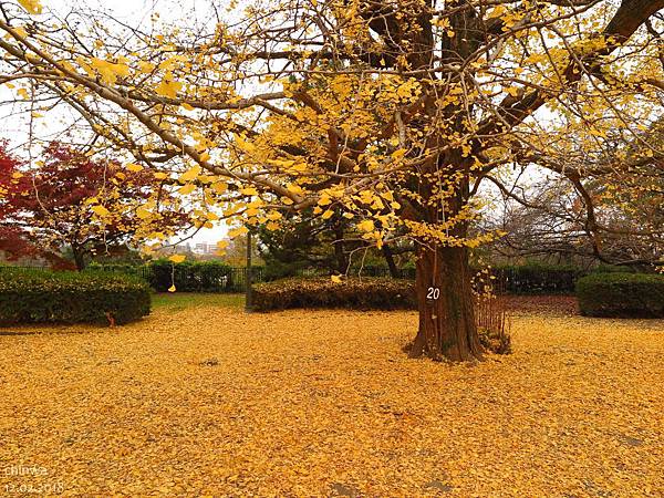 福岡.舞鶴公園