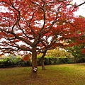 福岡.舞鶴公園