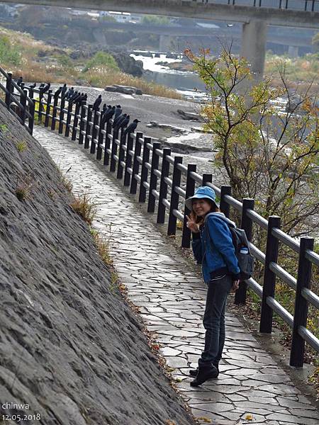 青の洞門