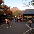 湯布院.湯の坪街道