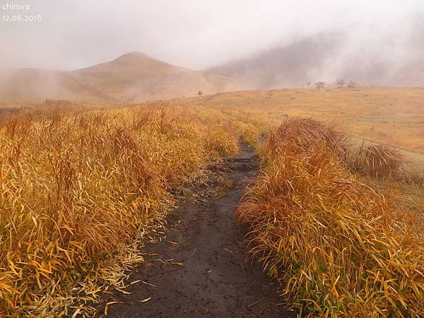 由布岳登山口