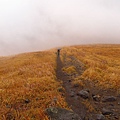 由布岳登山口