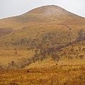 由布岳登山口