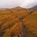 由布岳登山口