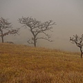 由布岳登山口