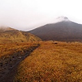 由布岳登山口