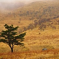 由布岳登山口