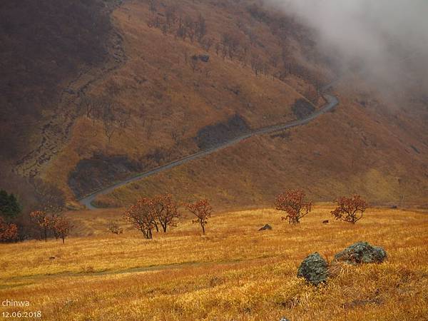 由布岳登山口