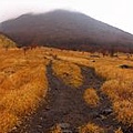 由布岳登山口