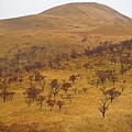 由布岳登山口