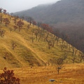 由布岳登山口