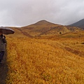 由布岳登山口