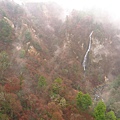 九重夢大吊橋