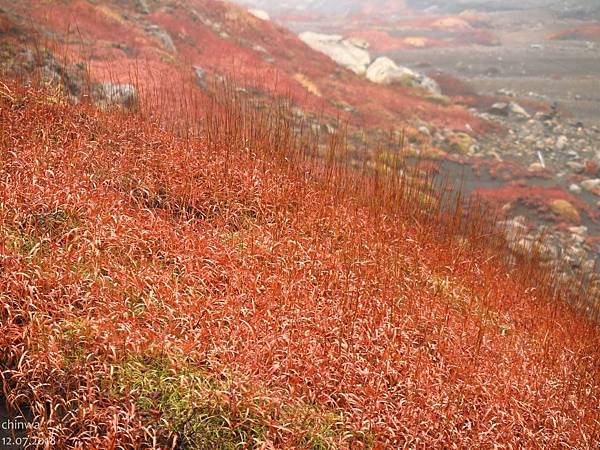 阿蘇山.砂千里ヶ浜